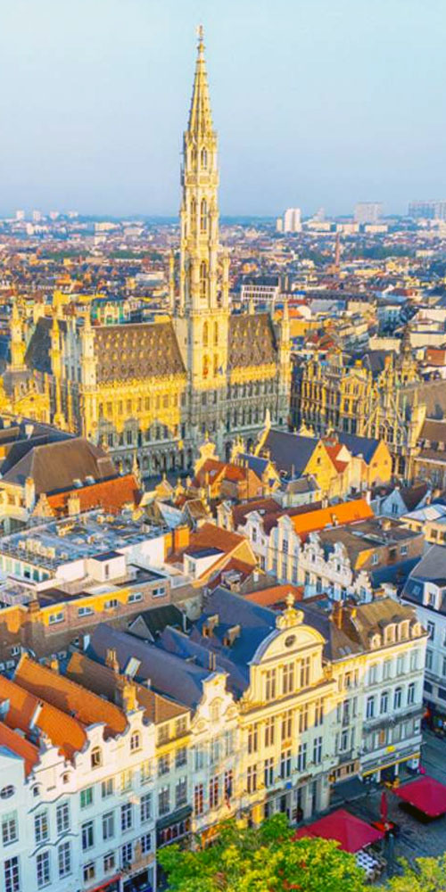 Brussels Heritage and Landmark Experience